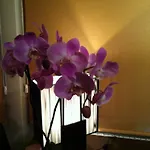 Casa Vallejo 2* Σαλαμάνκα