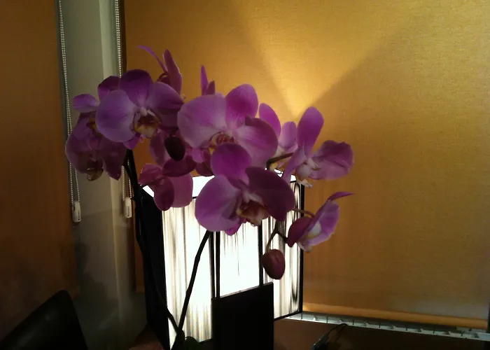 Casa Vallejo 2* Salamanka